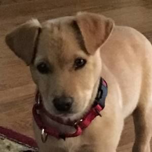 Meet your Posher, Roderick